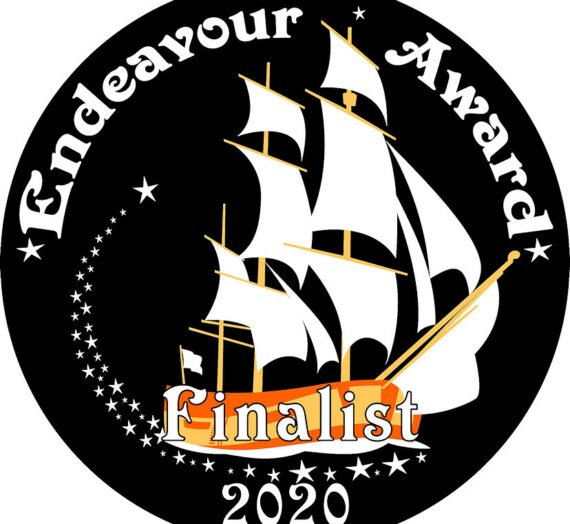 “Shadow Stitcher” shortlisted for the 2020 Endeavor Awards!